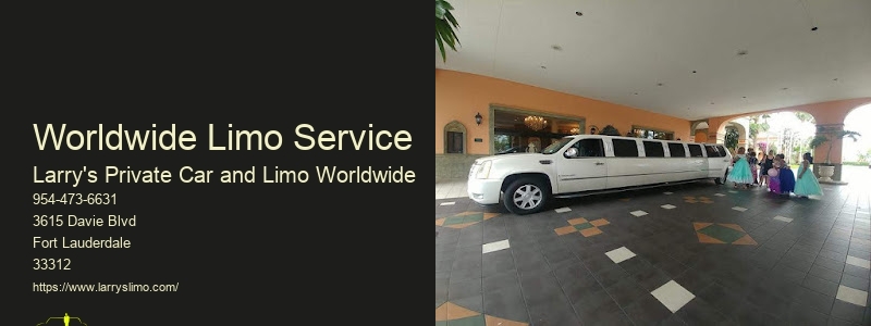 Airport Private Shuttle